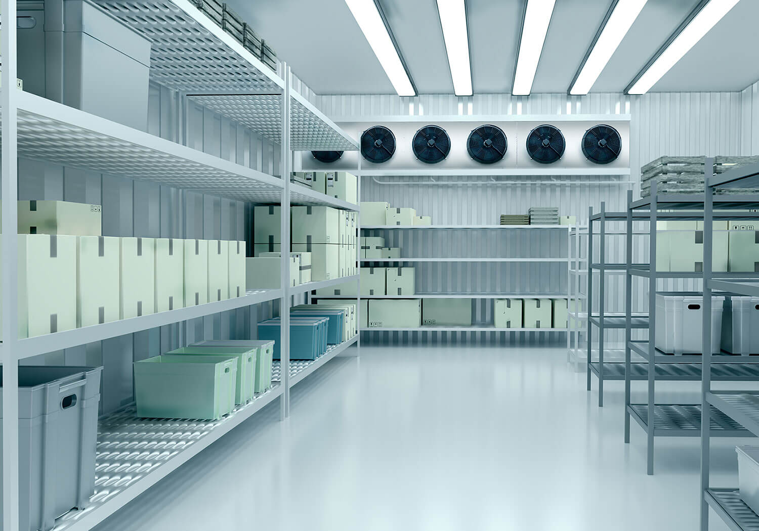Walk-in Cold Rooms